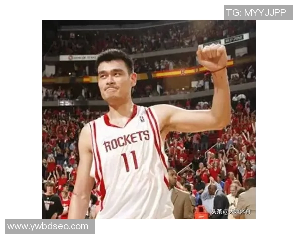 姚明在NBA的职业生涯对中国税收政策的影响与启示分析 姚明在NBA的职业生涯对中国税收政策的影响与启示分析