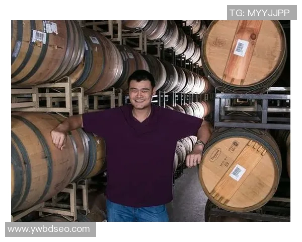 姚明红酒的独特魅力与品鉴技巧分享，让你领略葡萄酒的精致世界